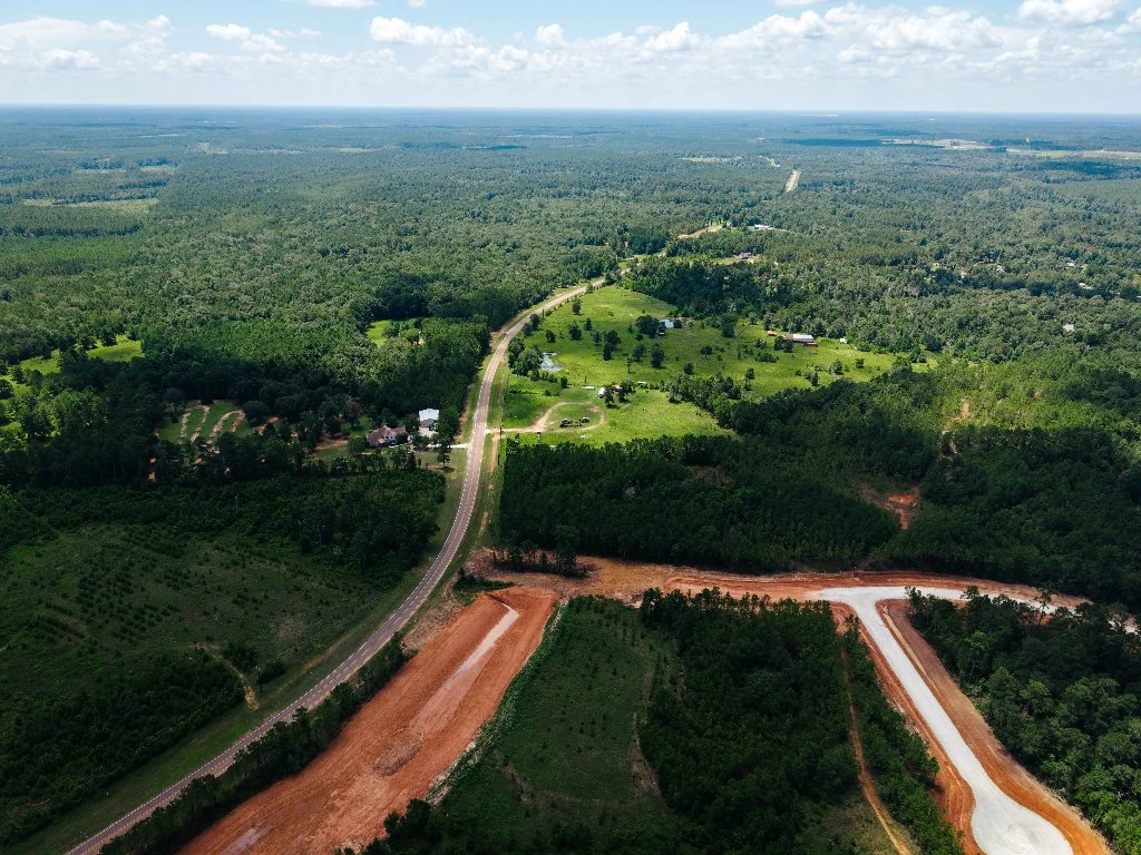 Paved high-ground road winding through tall pine trees at Deer Hollow Ranch in Willis TX